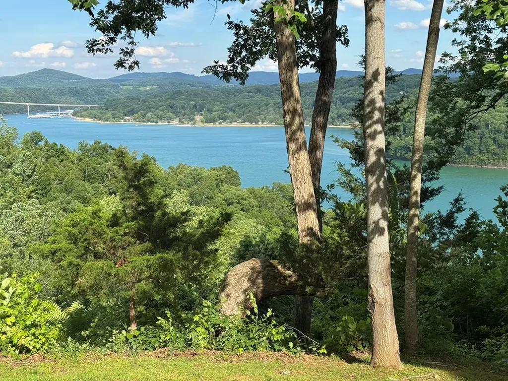 109 Thompson Lane Byrdstown TN 38549