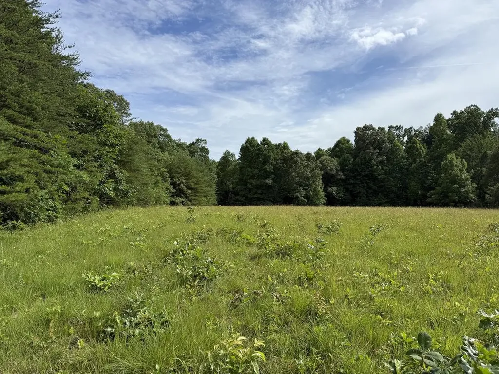 0 Clear Creek Road - 41 Acres Crossville TN 38571
