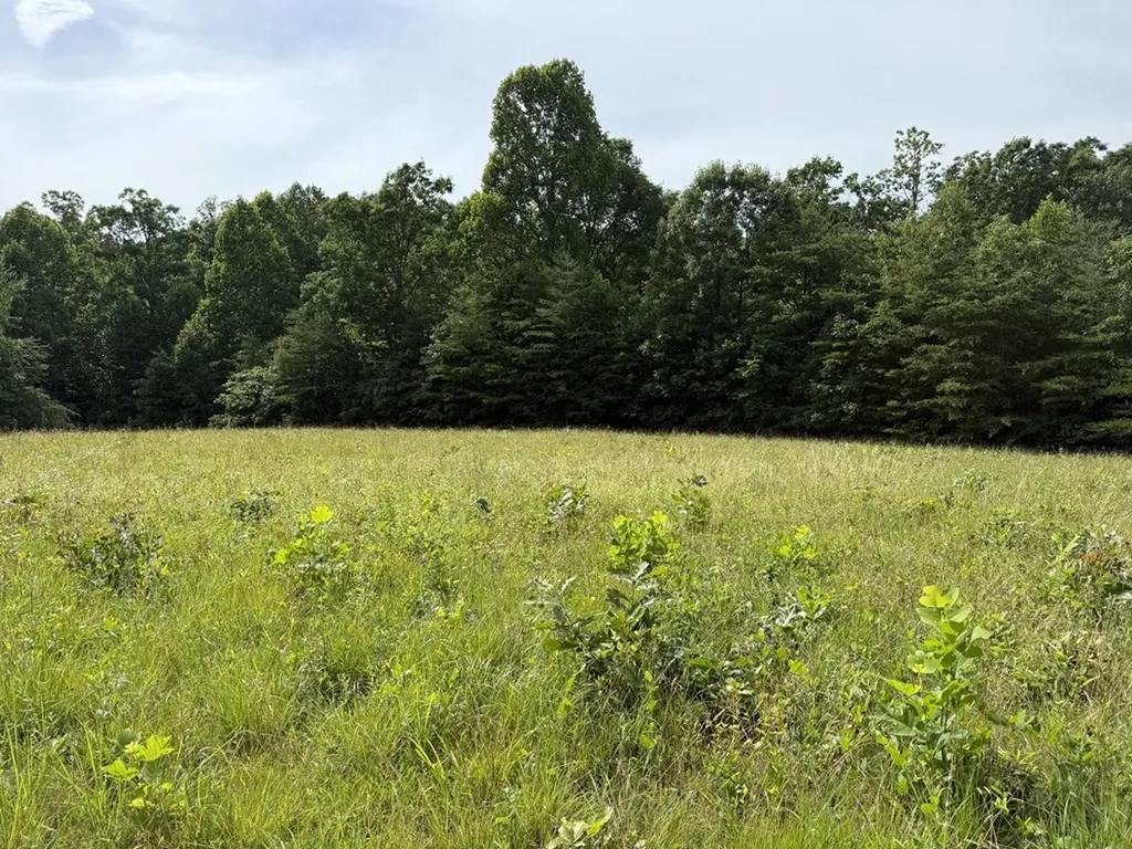 0 Clear Creek Road - 41 Acres Crossville TN 38571