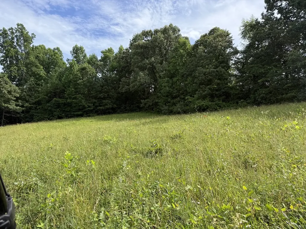 0 Clear Creek Road - 41 Acres Crossville TN 38571
