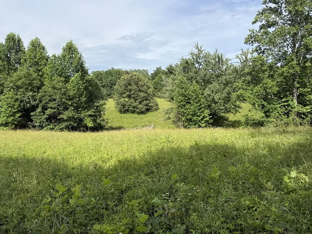 0 Clear Creek Road - 41 Acres Crossville TN 38571
