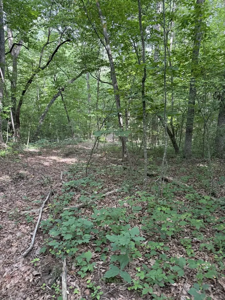 0 Clear Creek Road - 41 Acres Crossville TN 38571
