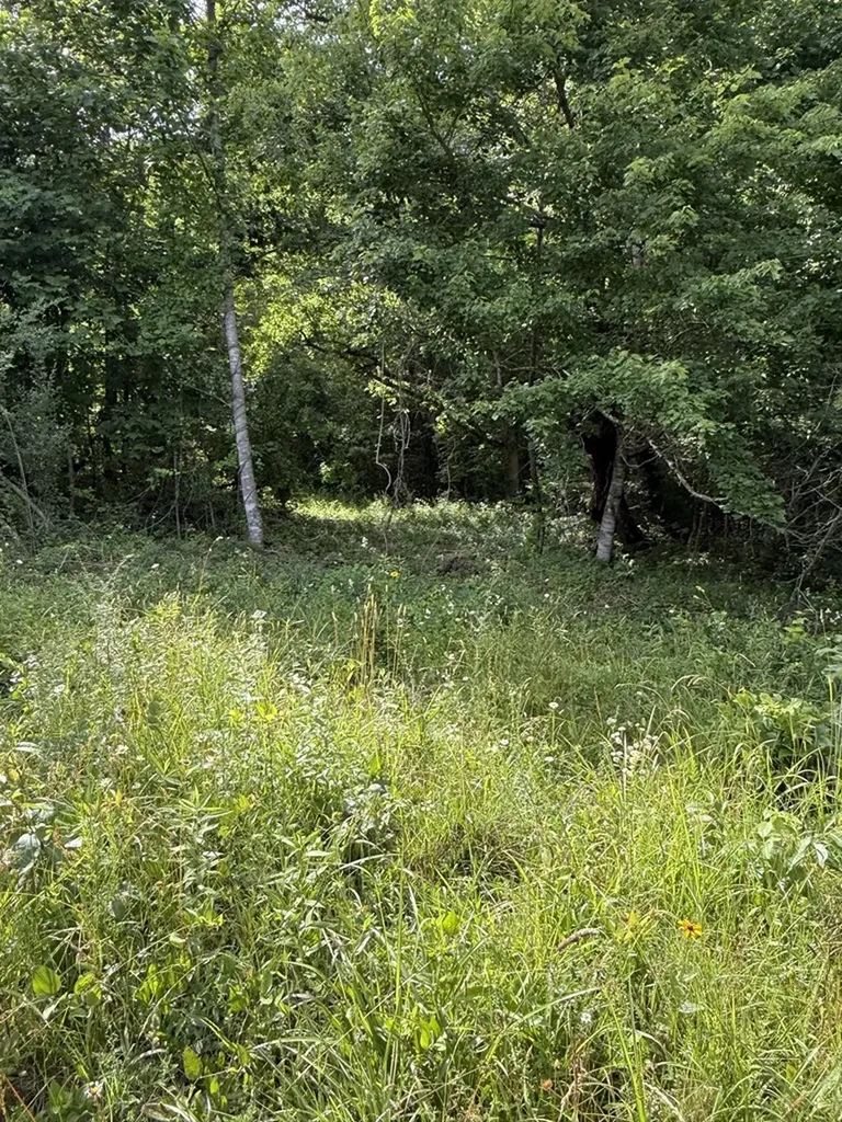 0 Clear Creek Road - 41 Acres Crossville TN 38571