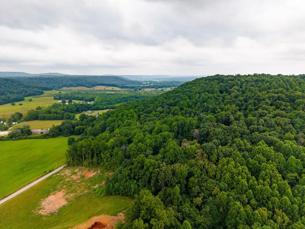 0 Cherry Creek Road - Tract 4 Cookeville TN 38506