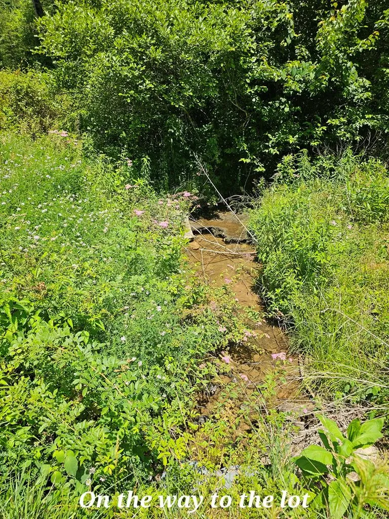 0 Old Tanner Cemetery Crossville TN 38571