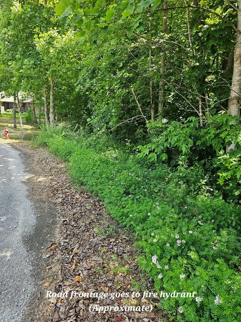 0 Old Tanner Cemetery Crossville TN 38571