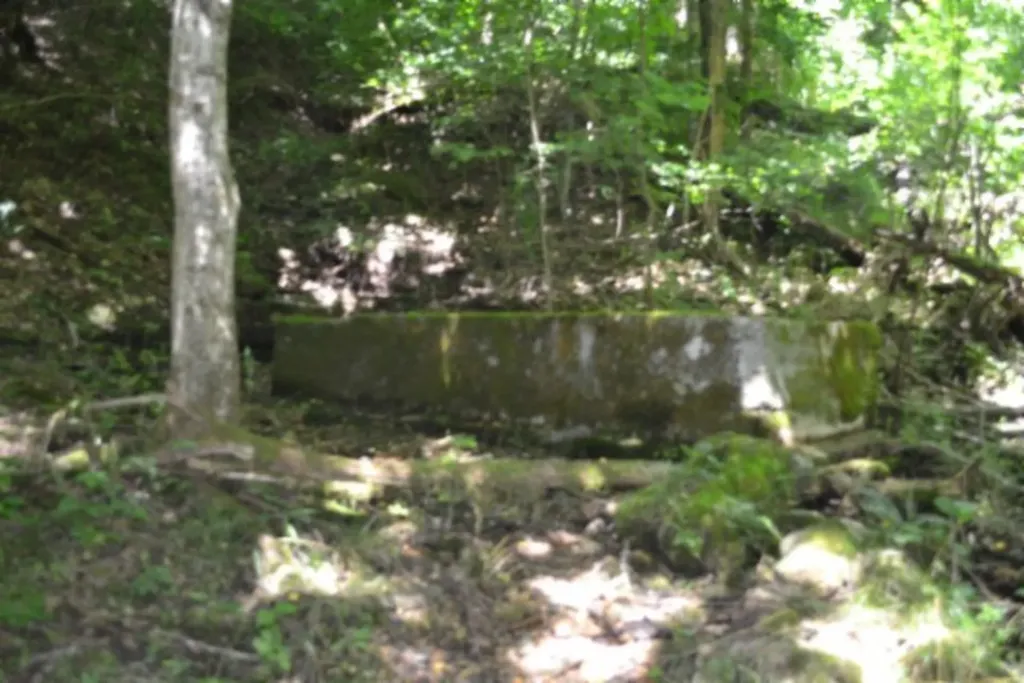 425 Baugh Hollow Road Gainesboro TN 38562