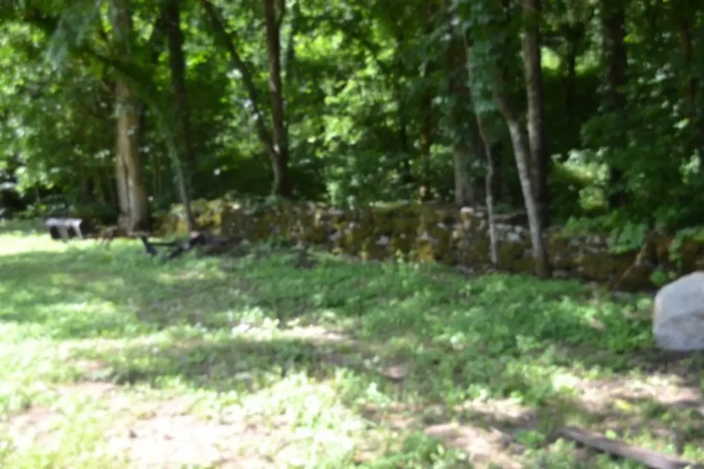 425 Baugh Hollow Road Gainesboro TN 38562