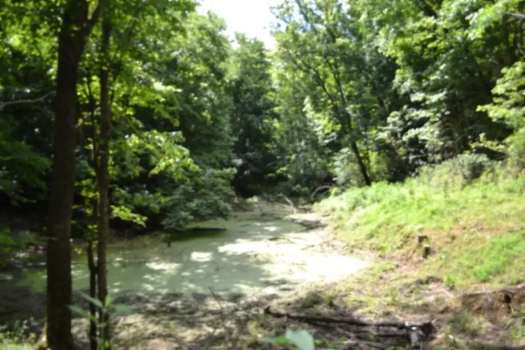 425 Baugh Hollow Road Gainesboro TN 38562