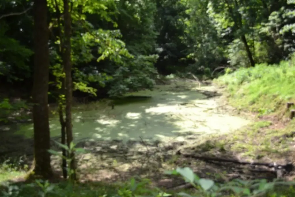 425 Baugh Hollow Road Gainesboro TN 38562