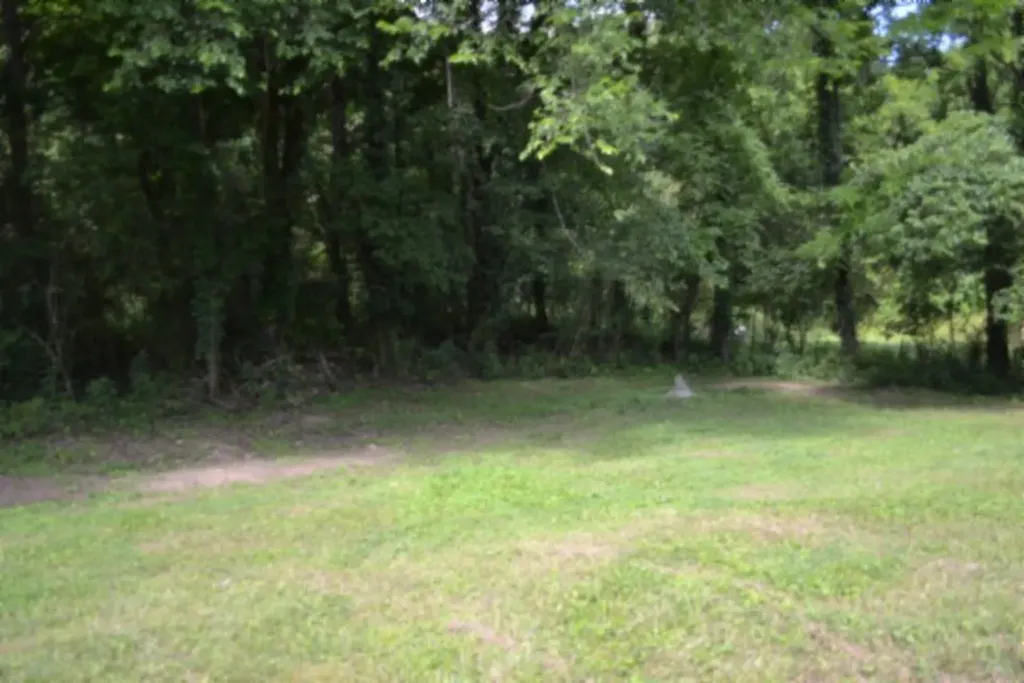 425 Baugh Hollow Road Gainesboro TN 38562