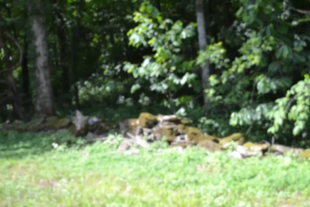 425 Baugh Hollow Road Gainesboro TN 38562
