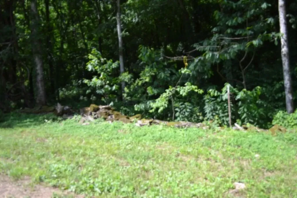425 Baugh Hollow Road Gainesboro TN 38562