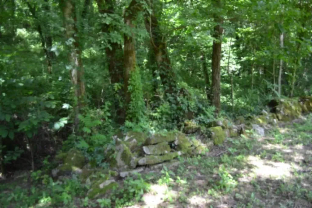 425 Baugh Hollow Road Gainesboro TN 38562