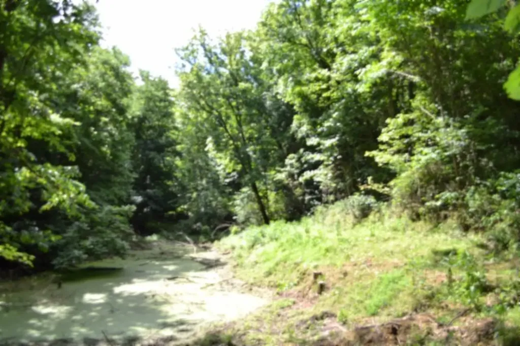 425 Baugh Hollow Road Gainesboro TN 38562
