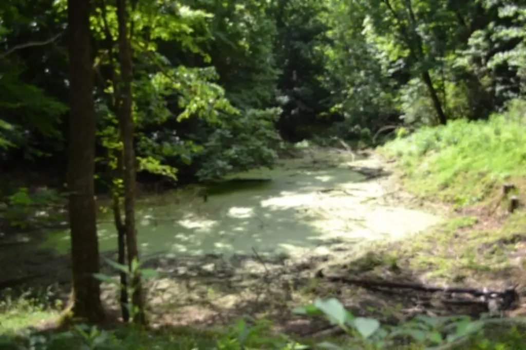 425 Baugh Hollow Road Gainesboro TN 38562