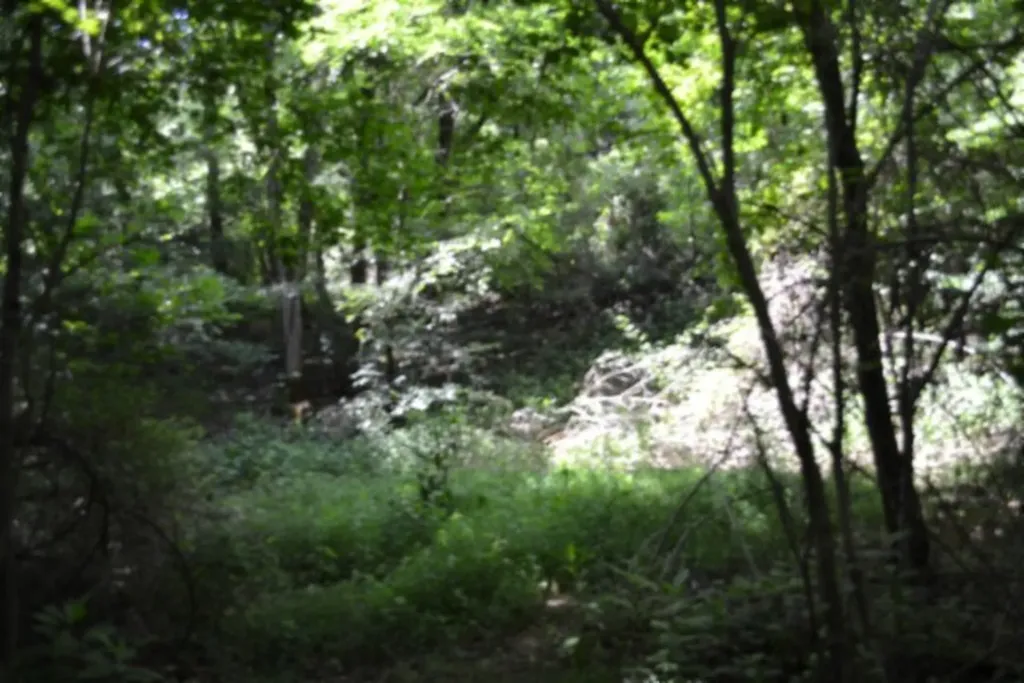 425 Baugh Hollow Road Gainesboro TN 38562
