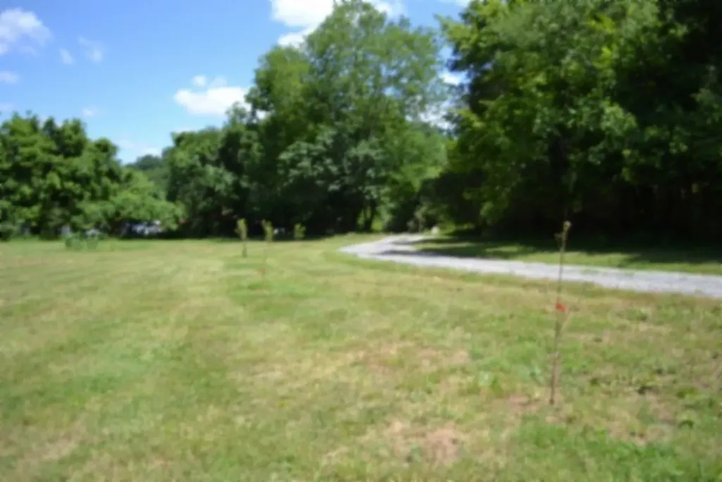 425 Baugh Hollow Road Gainesboro TN 38562