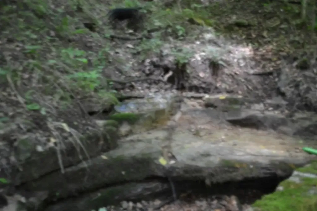 425 Baugh Hollow Road Gainesboro TN 38562