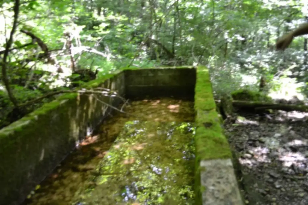 425 Baugh Hollow Road Gainesboro TN 38562