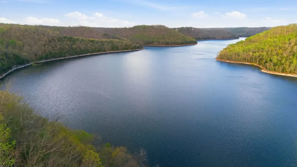 330 Burton Ridge Road Silver Point TN 38582
