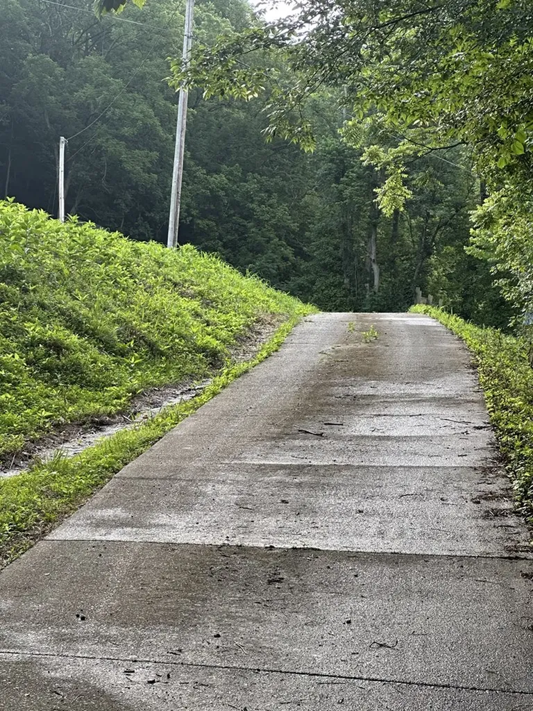 45 Friendship Hollow Road N Pleasant Shade TN 37145