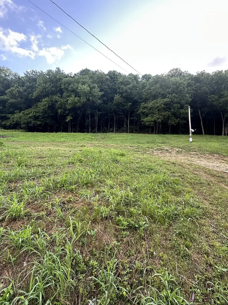 45 Friendship Hollow Road N Pleasant Shade TN 37145