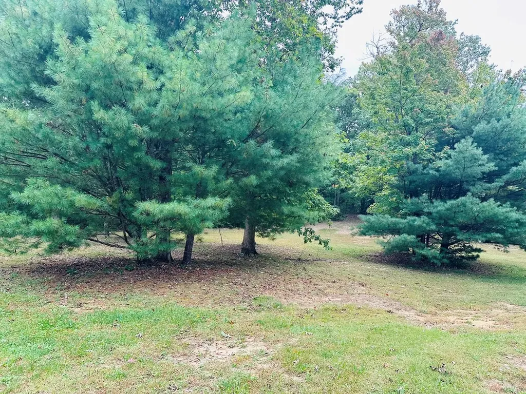 17751 Crossville Highway Monterey TN 38574