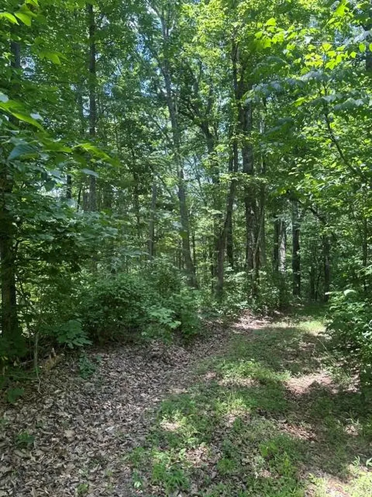 0 W Of Ward Fork Road Whitleyville TN 38588