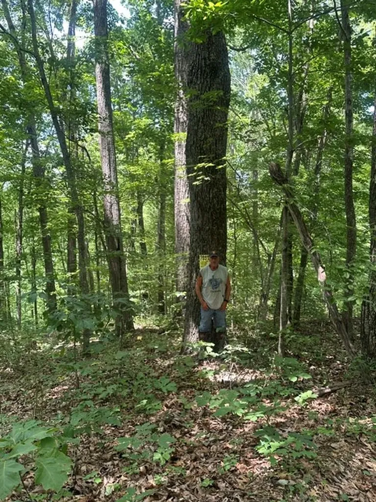 0 W Of Ward Fork Road Whitleyville TN 38588