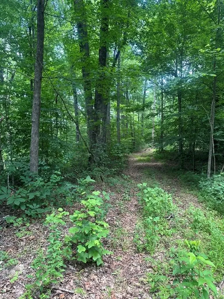 0 W Of Ward Fork Road Whitleyville TN 38588