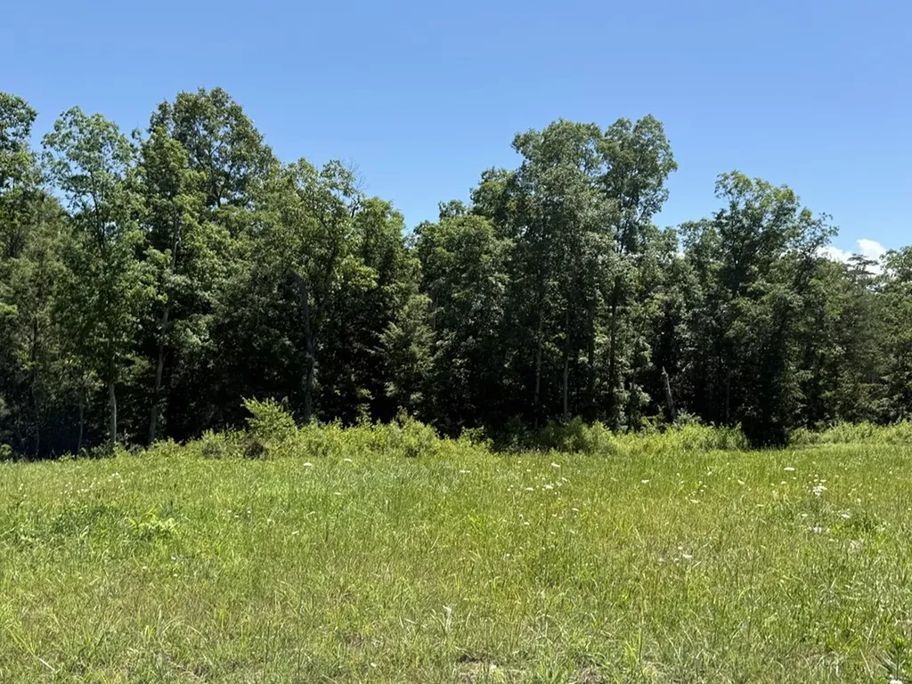 0 Riverview Drive - Lot 1 & 2 Crossville TN 38555