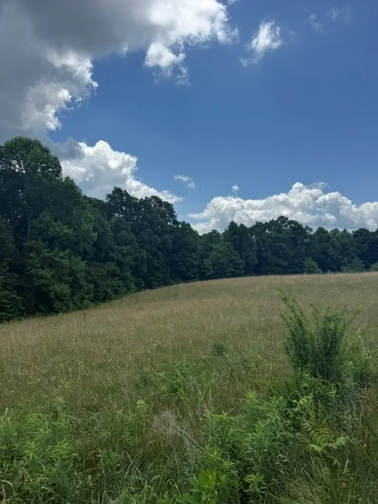 0 East Fork Lane Crawford TN 38554