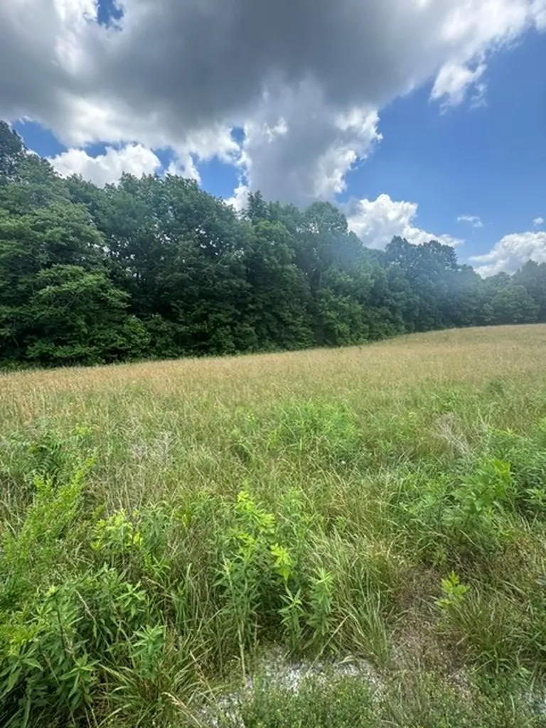 0 East Fork Lane Crawford TN 38554
