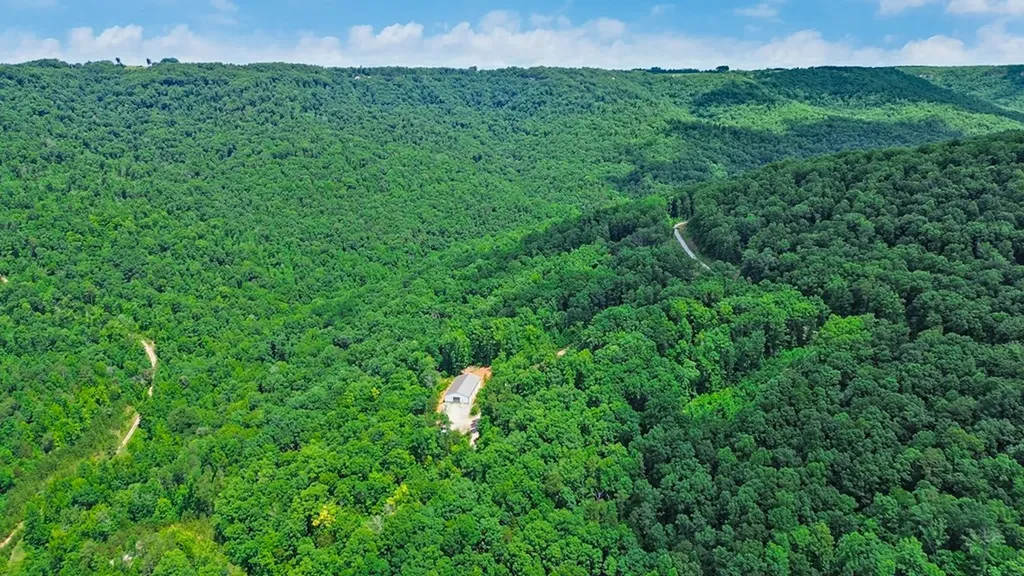 1133 Tomahawk Drive Jamestown TN 38556