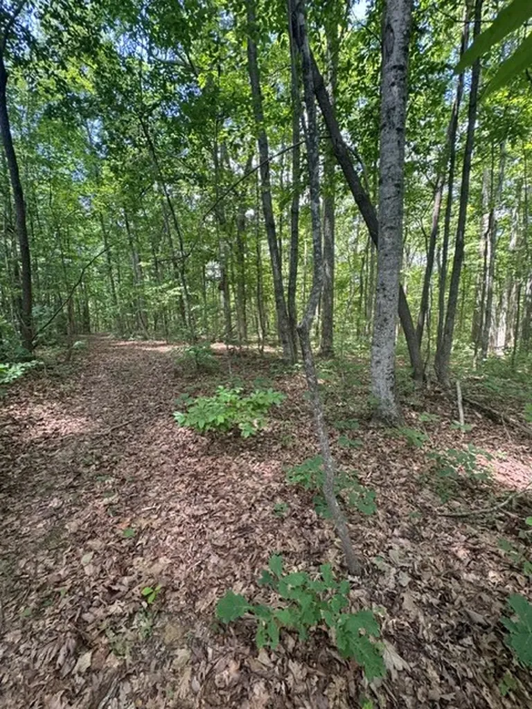0 East Fork Lane Crawford TN 38554
