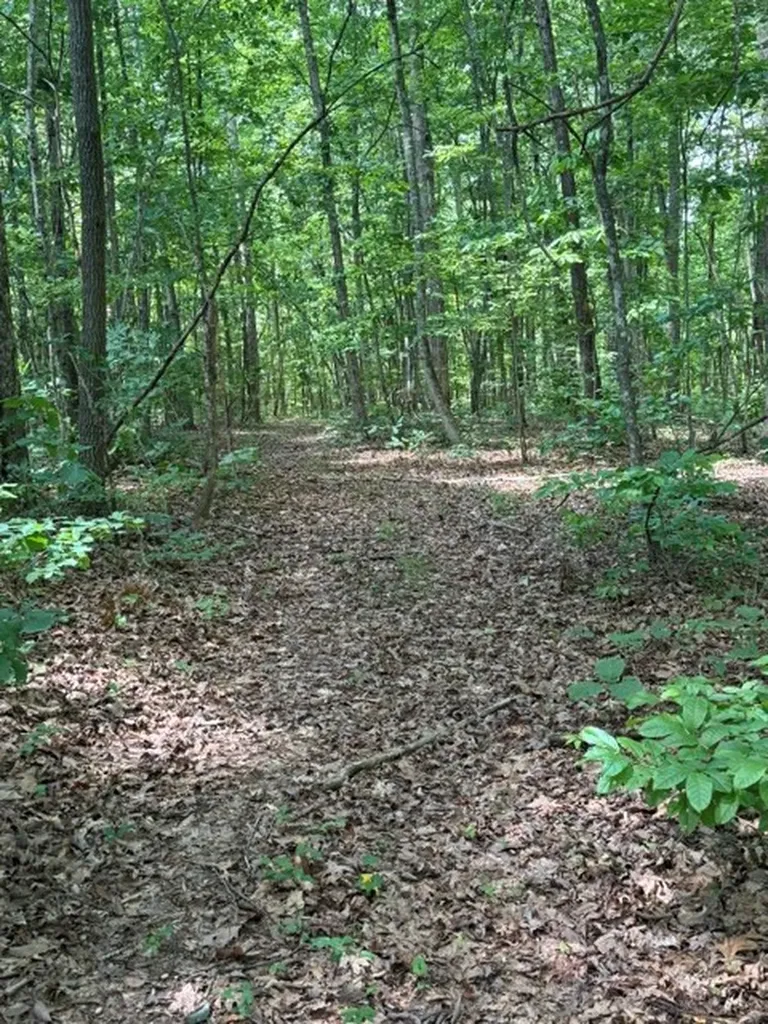 0 East Fork Lane Crawford TN 38554
