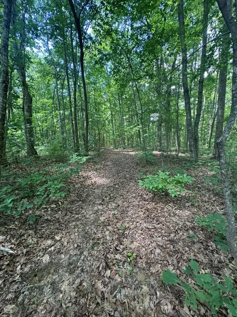 0 East Fork Lane Crawford TN 38554