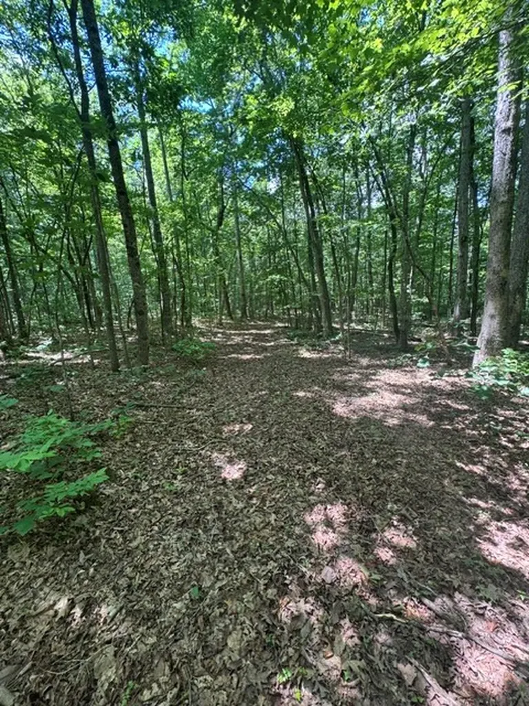 0 East Fork Lane Crawford TN 38554