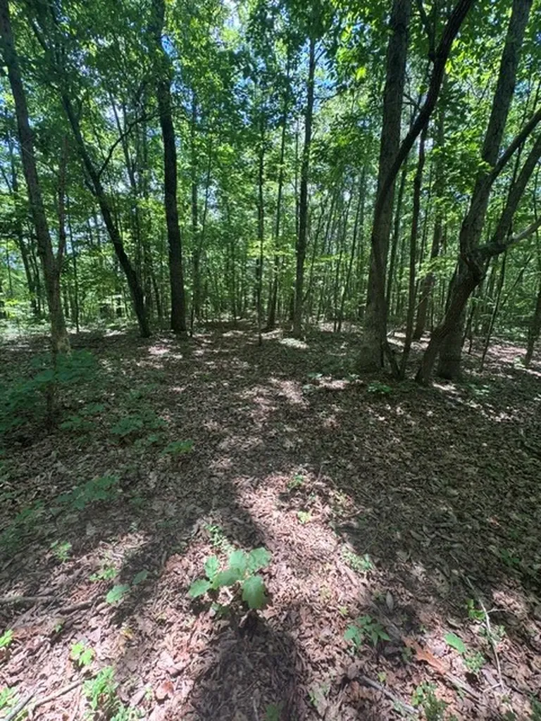0 East Fork Lane Crawford TN 38554