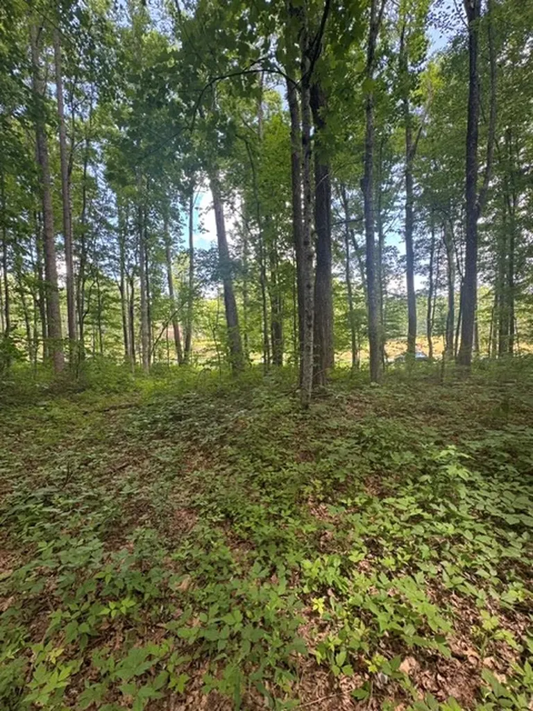0 East Fork Lane Crawford TN 38554