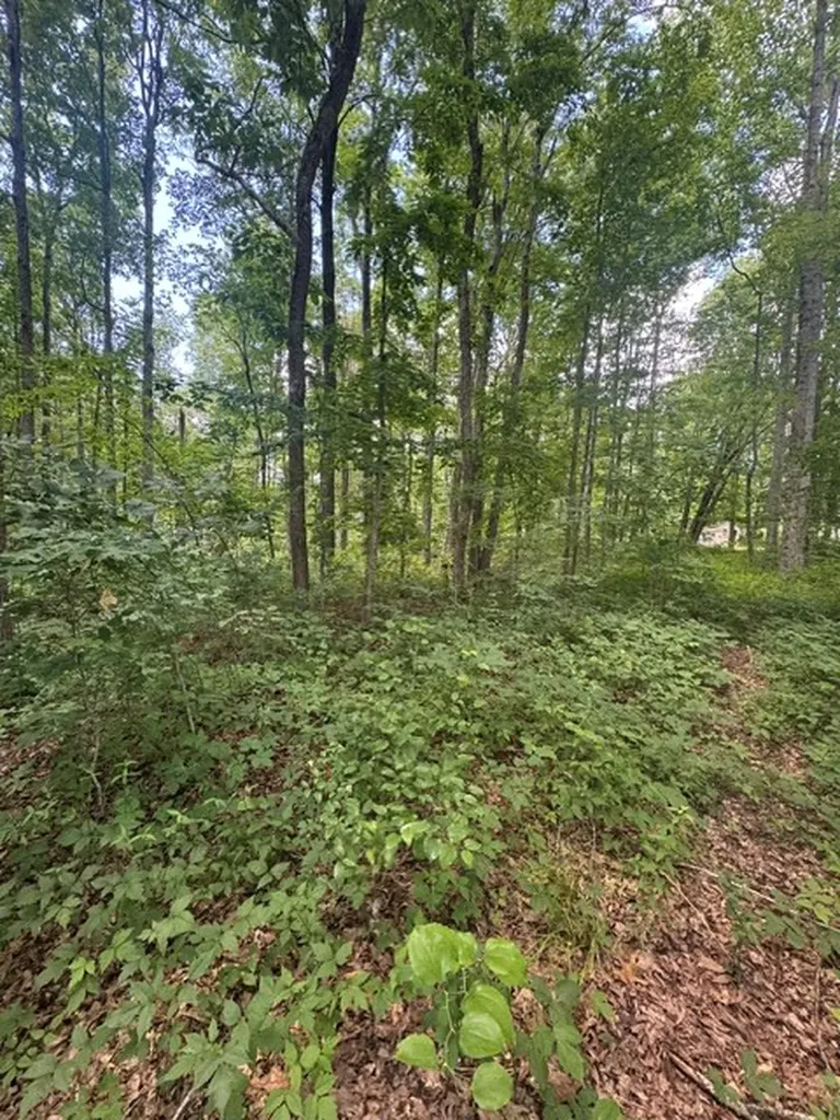 0 East Fork Lane Crawford TN 38554