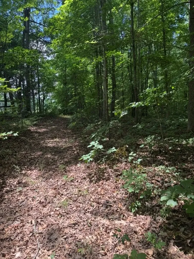 0 East Fork Lane Crawford TN 38554