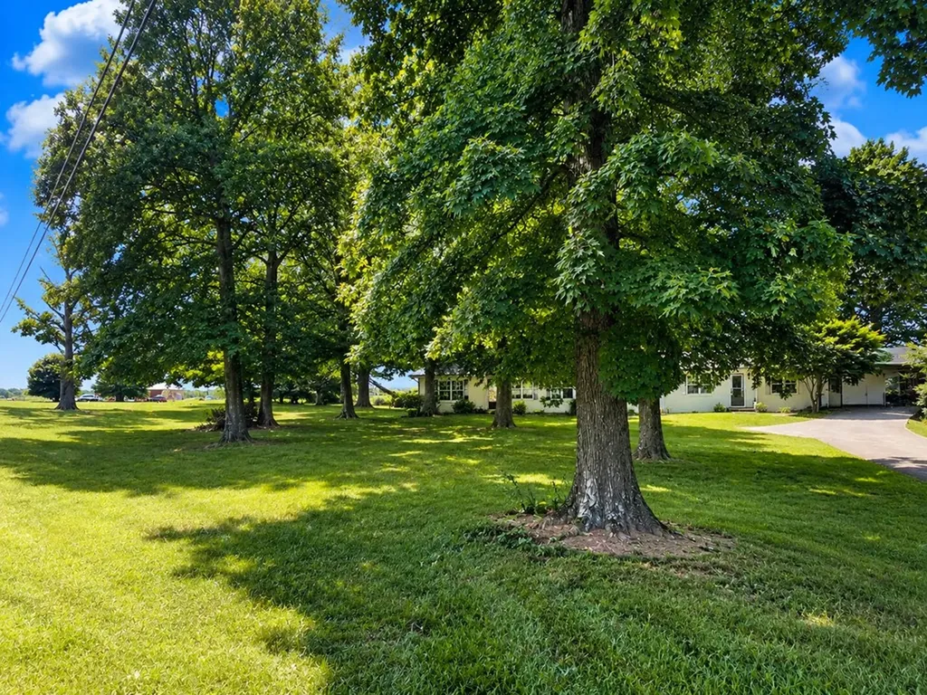 9241 Clay County Highway Moss TN 38575