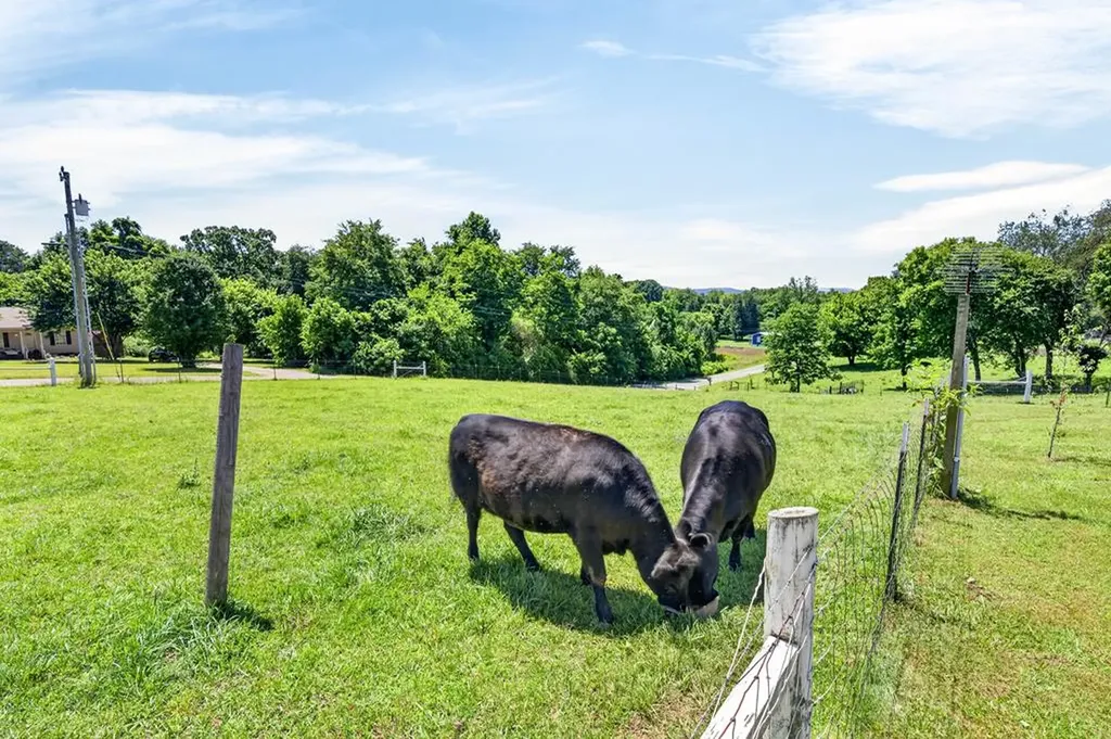 105 105 Foothills Road Pikeville TN 37367