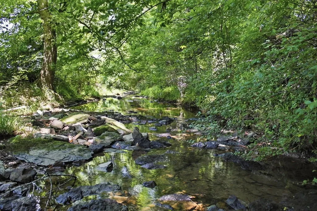 3300 Doyle Frazier Road Morrison TN 37357