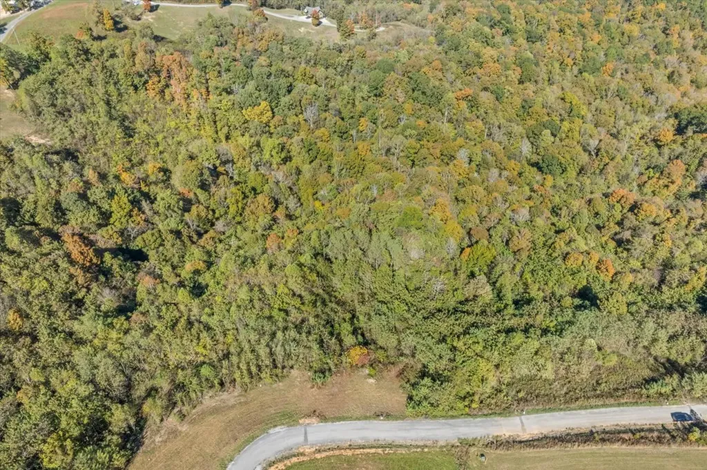 17C Rockfish Road Hilham TN 38568