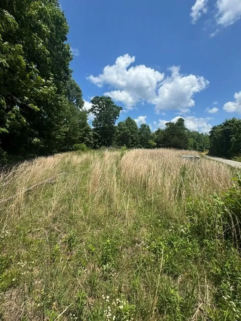 0 Claude Hargis Lane Crawford TN 38554