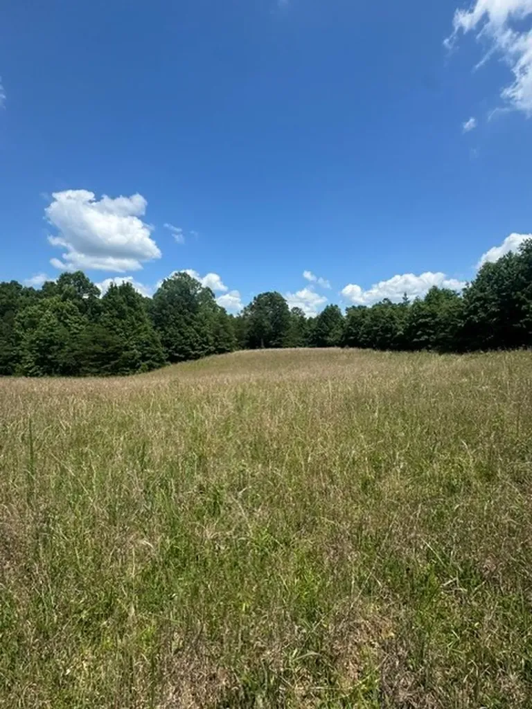 0 Claude Hargis Lane Crawford TN 38554