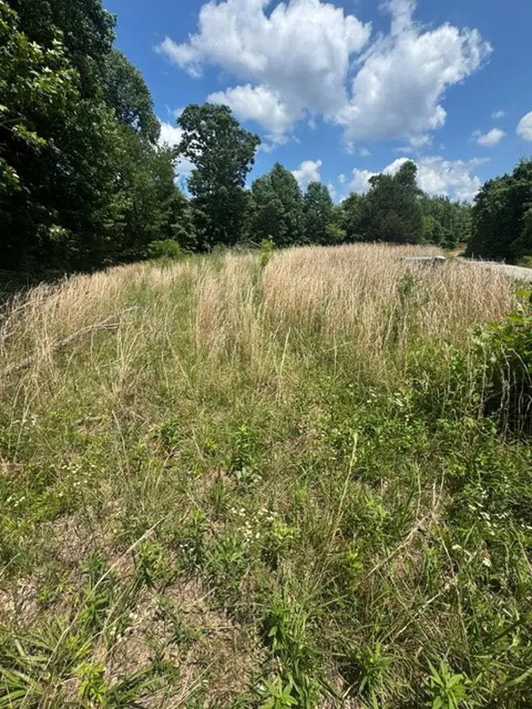 0 Claude Hargis Lane Crawford TN 38554
